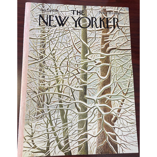 NEW YORKER Magazine cover - January 29, 1966