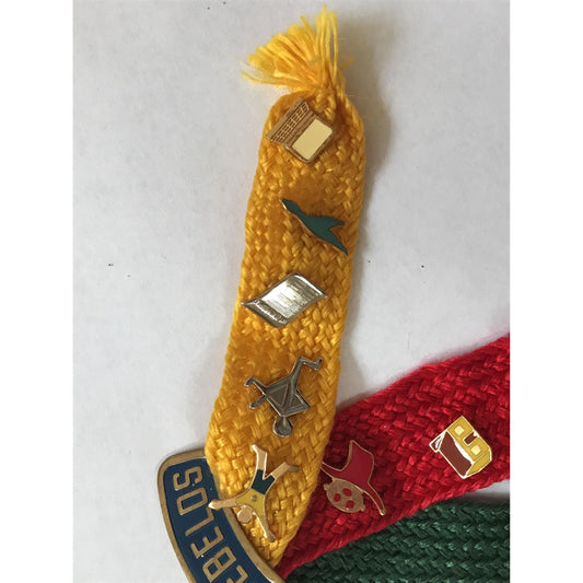 Boy Scouts Of America Webelos Patches Pins & Rank Progression Set